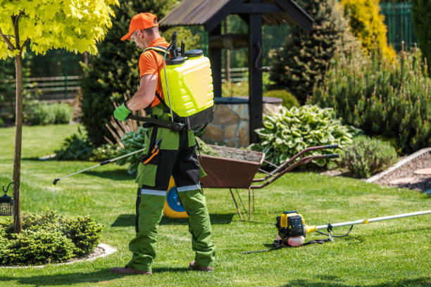 Best Outdoor Pest Control  in Truckee, CA